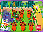 Dora’s Magical Garden